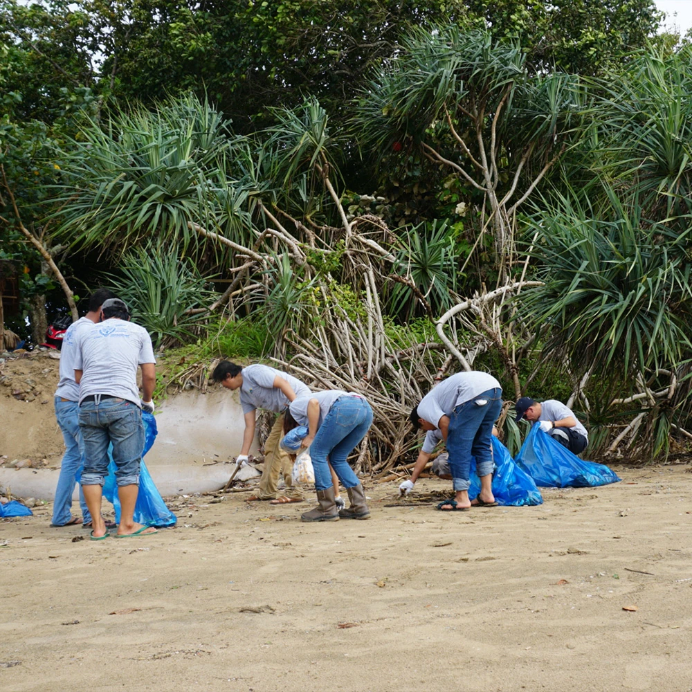 Pantai Pulau Merah Clean Up Image